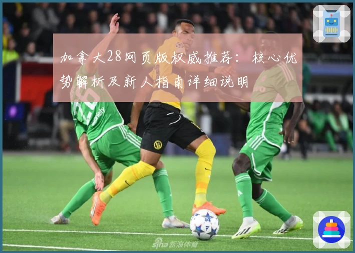 加拿大28网页版权威推荐:核心优势解析及新人指南详细说明