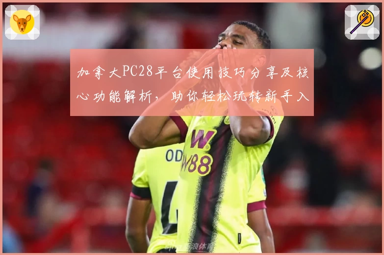 加拿大PC28平台使用技巧分享及核心功能解析，助你轻松玩转新手入门指南