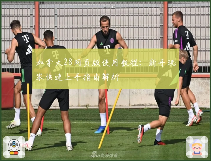 加拿大28网页版使用教程:新手玩家快速上手指南解析