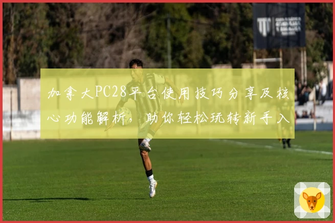 加拿大PC28平台使用技巧分享及核心功能解析，助你轻松玩转新手入门指南