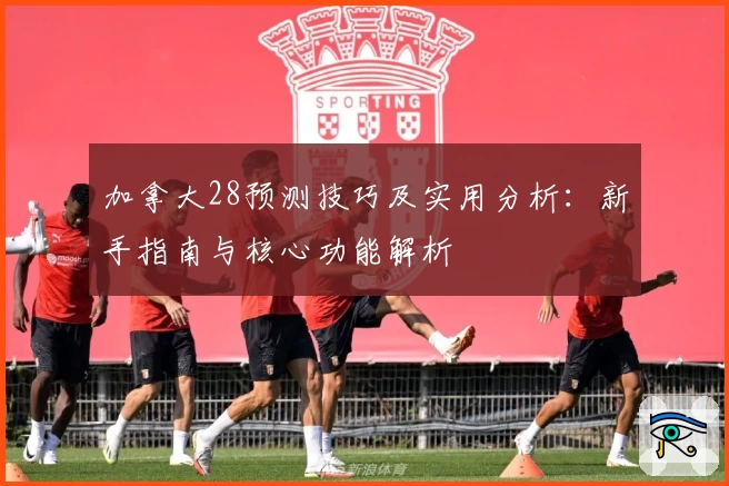 加拿大28预测技巧及实用分析：新手指南与核心功能解析