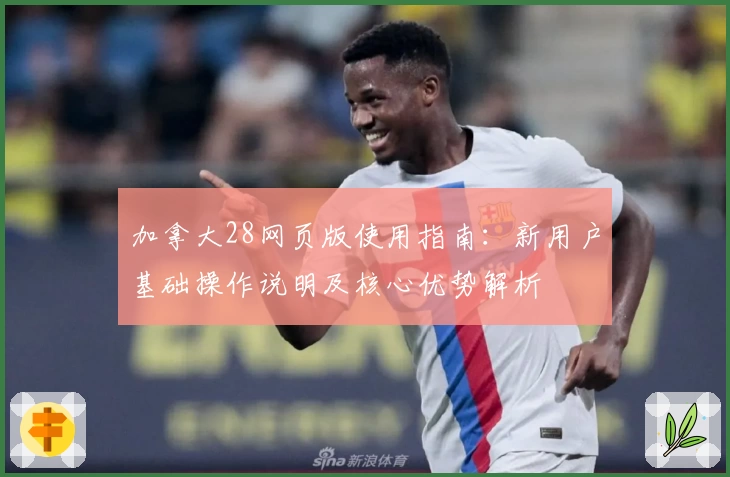 加拿大28网页版使用指南：新用户基础操作说明及核心优势解析