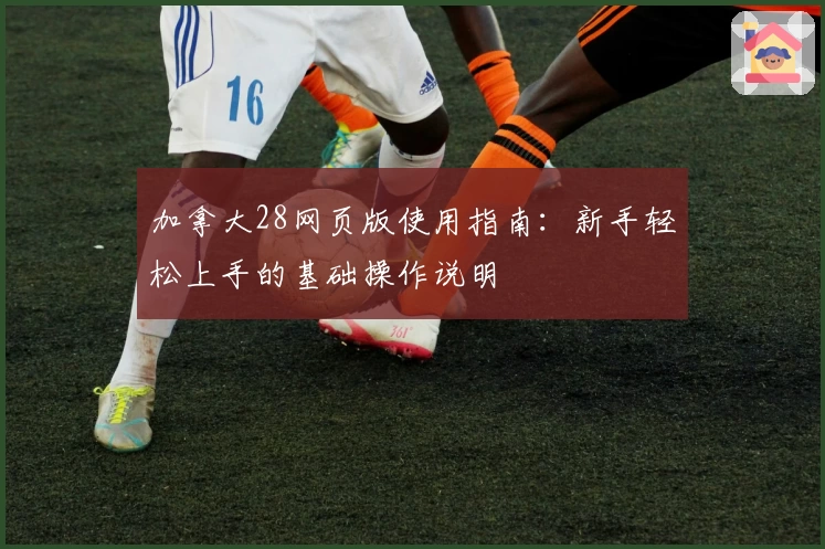 加拿大28网页版使用指南：新手轻松上手的基础操作说明