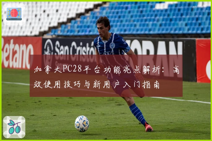 加拿大PC28平台功能亮点解析：高效使用技巧与新用户入门指南