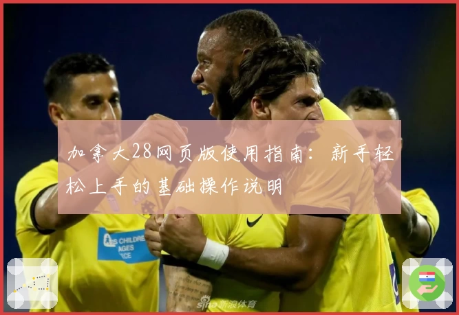 加拿大28网页版使用指南：新手轻松上手的基础操作说明