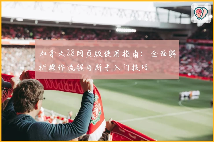 加拿大28网页版使用指南：全面解析操作流程与新手入门技巧